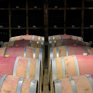 Henri Gouges Cellar